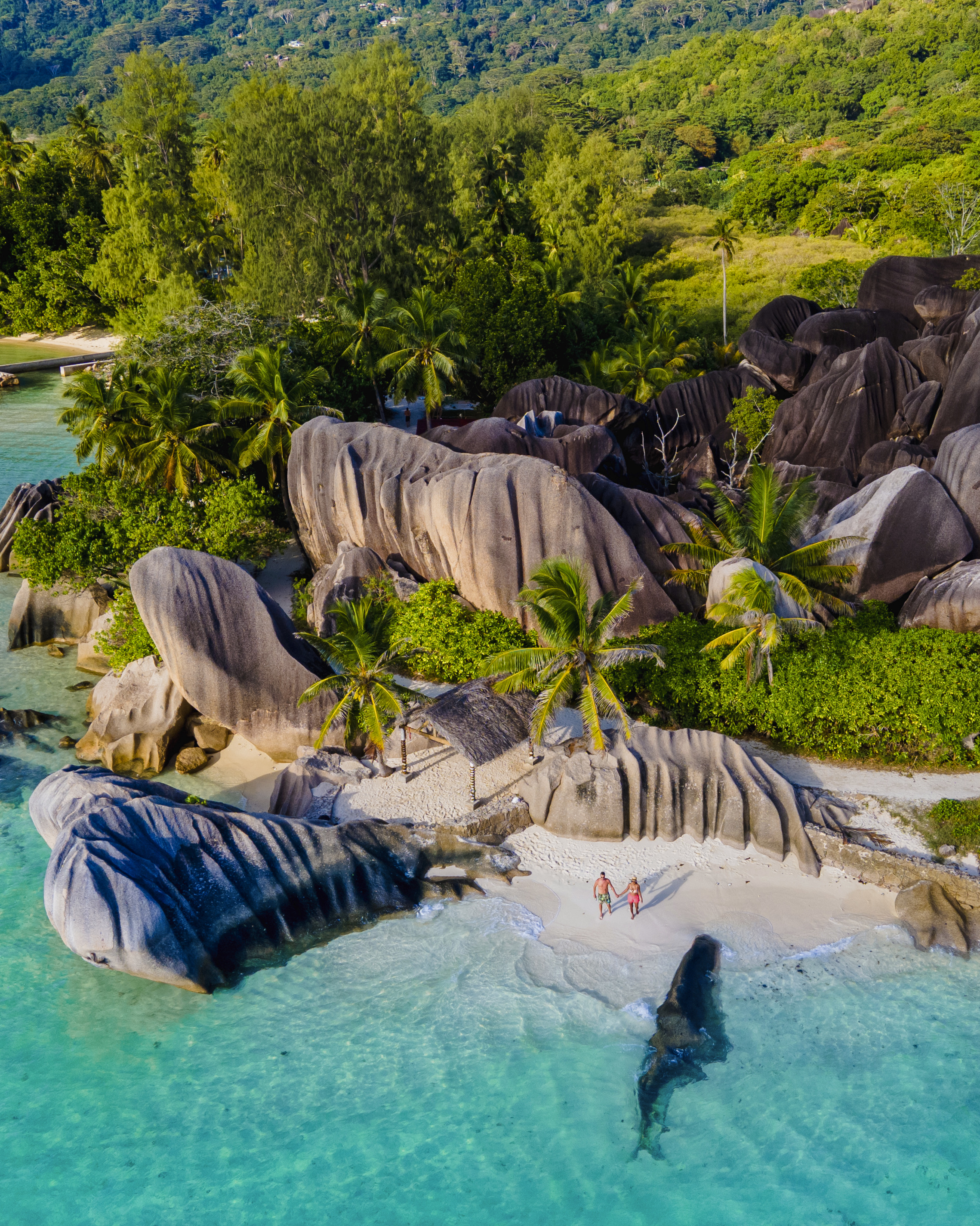 Seychelles Offer