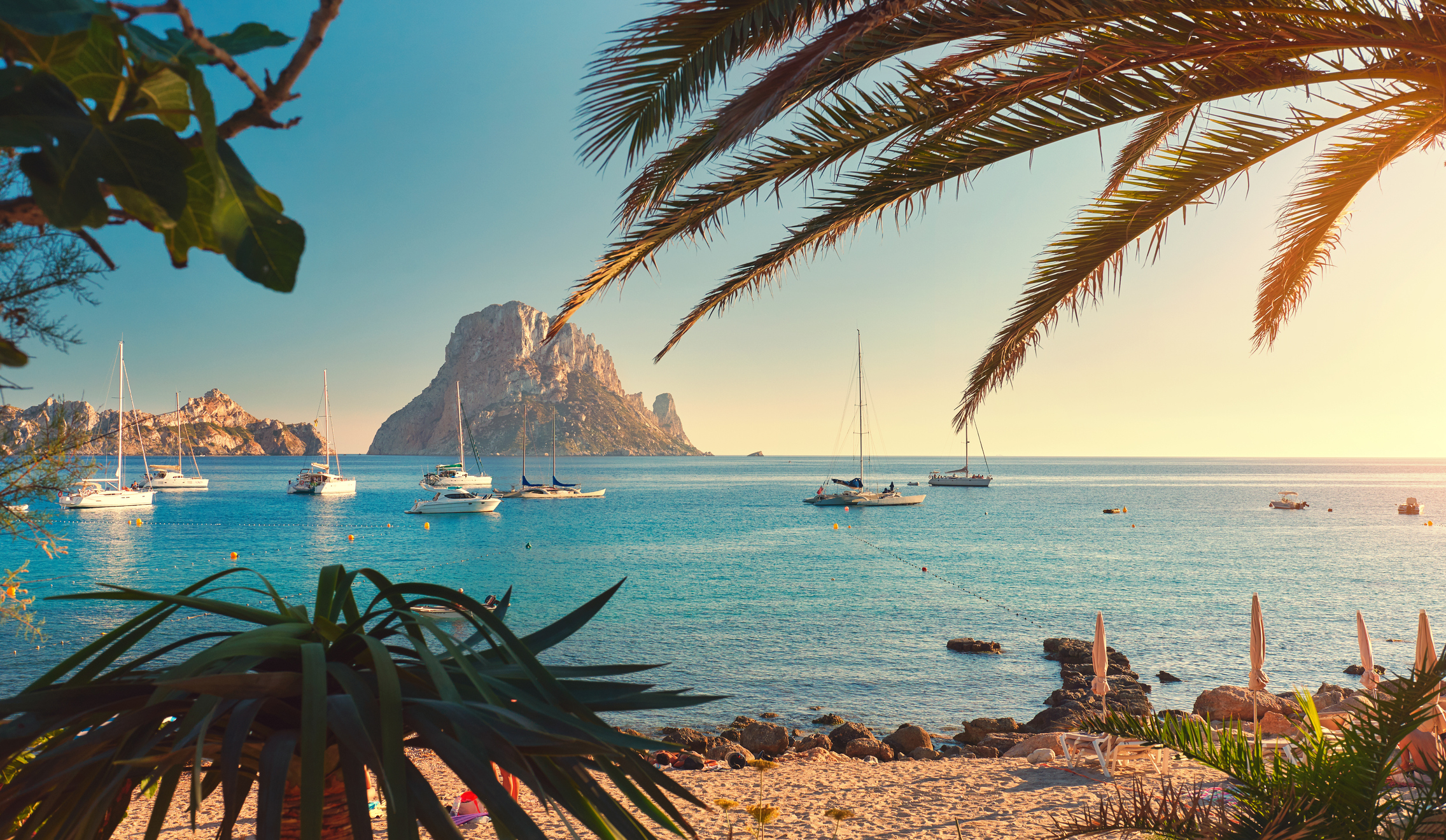 Ibiza Offer