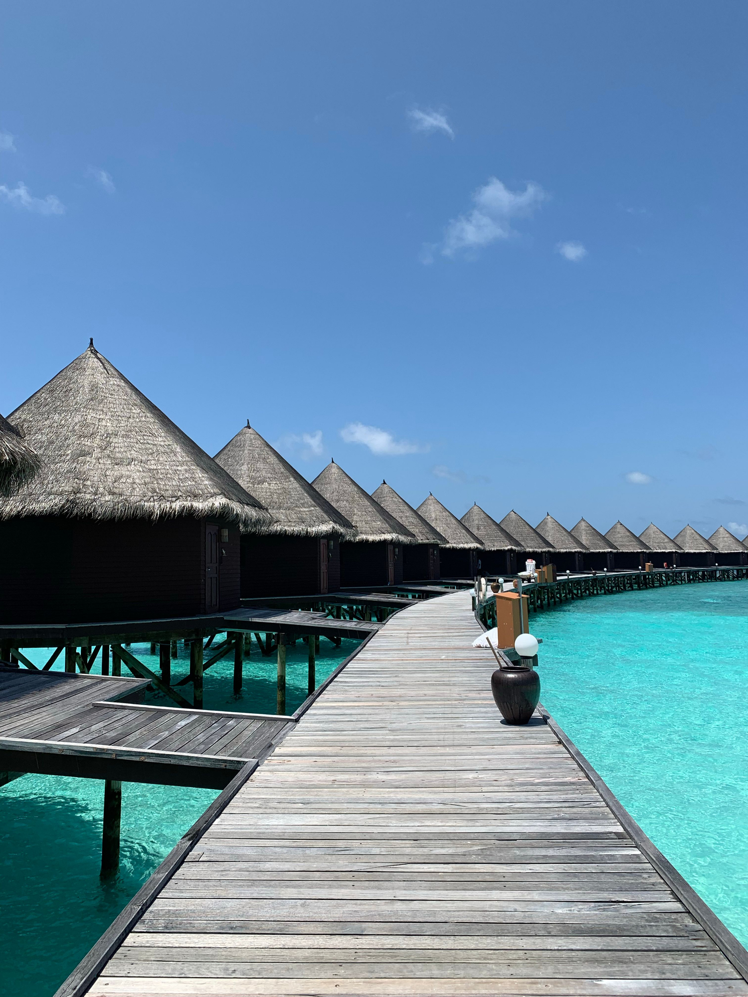 Maldive Offer