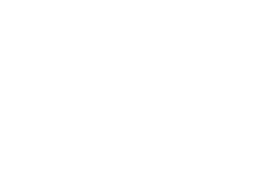 Logo Argo Travel